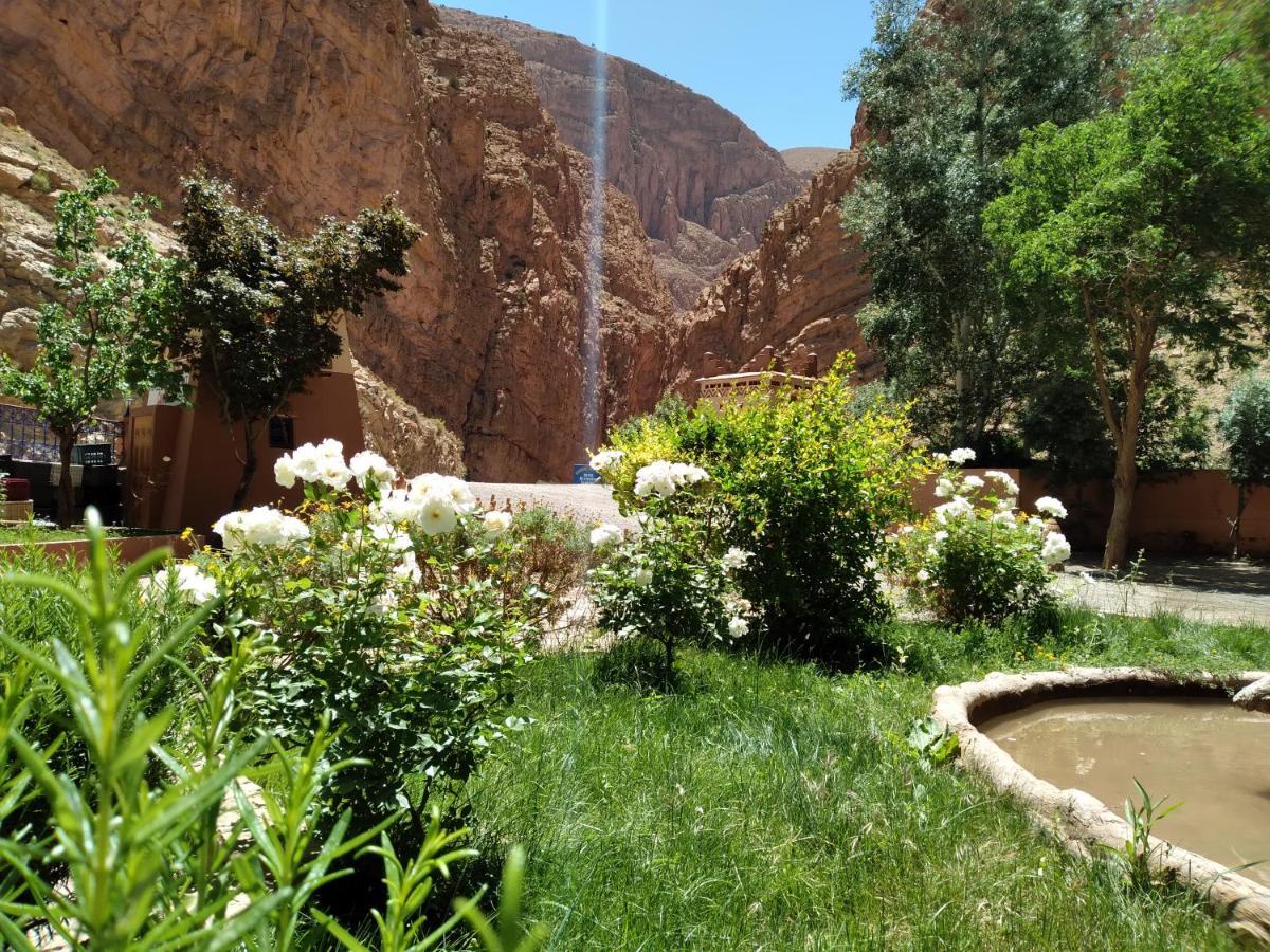 Berbere De La Montagne Hotel Imdiazene エクステリア 写真