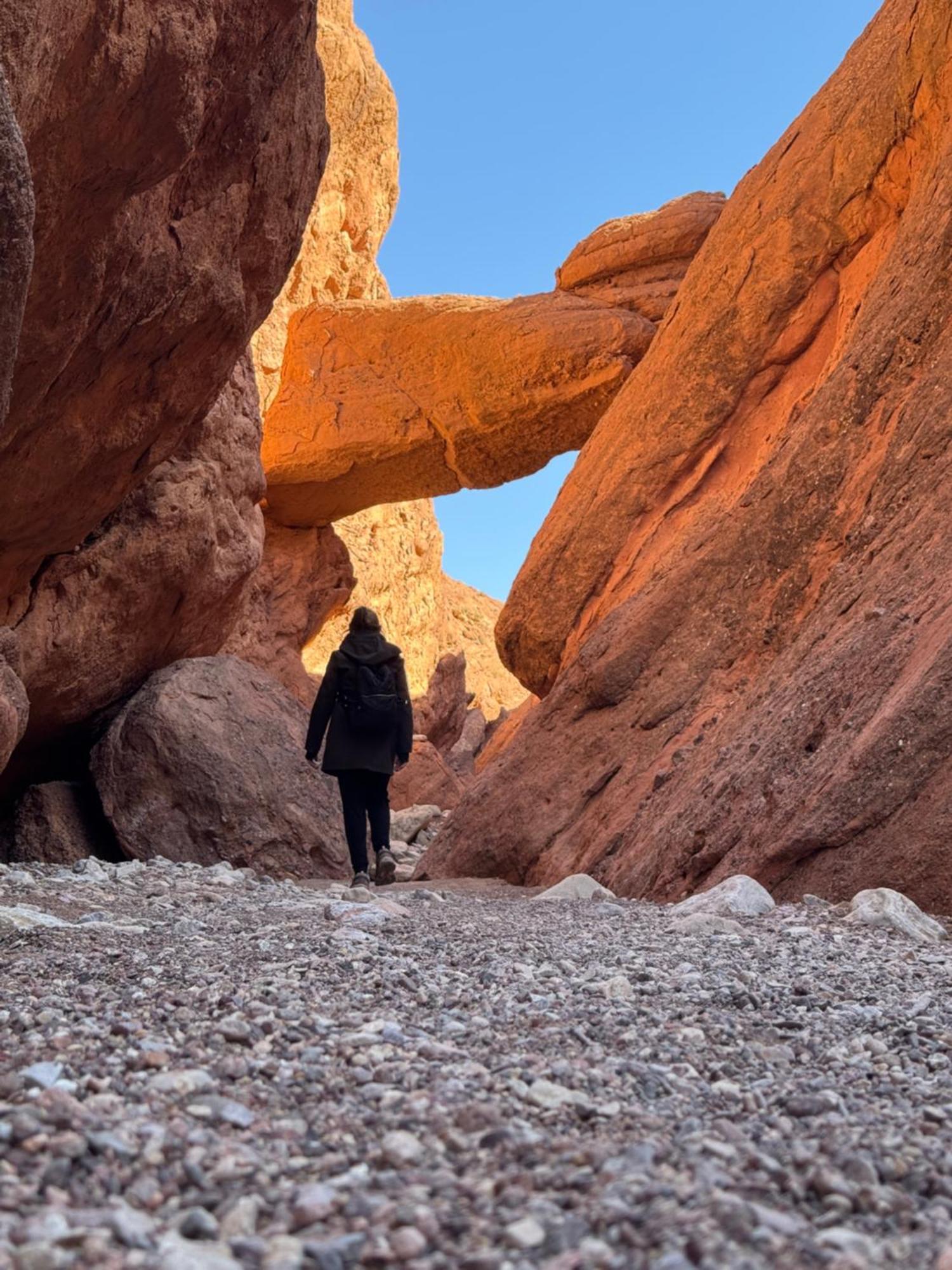 Berbere De La Montagne Hotel Imdiazene エクステリア 写真
